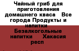 Чайный гриб для приготовления домашнего кваса - Все города Продукты и напитки » Безалкогольные напитки   . Хакасия респ.